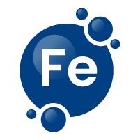 Ferritin ( Iron Levels )